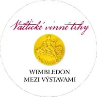 Cabernet Sauvignon rosé "Adélka" 2020 pozdní sběr BIO, Čech